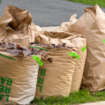 leaves in paper bags