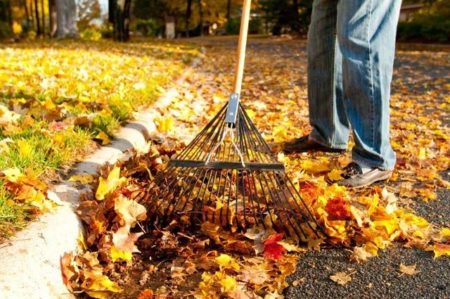 person raking leaves with rake