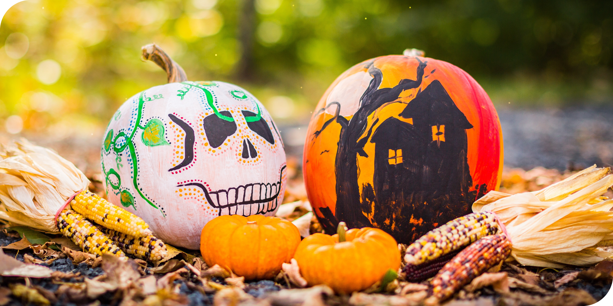 pumpkins sitting on fall leaves
