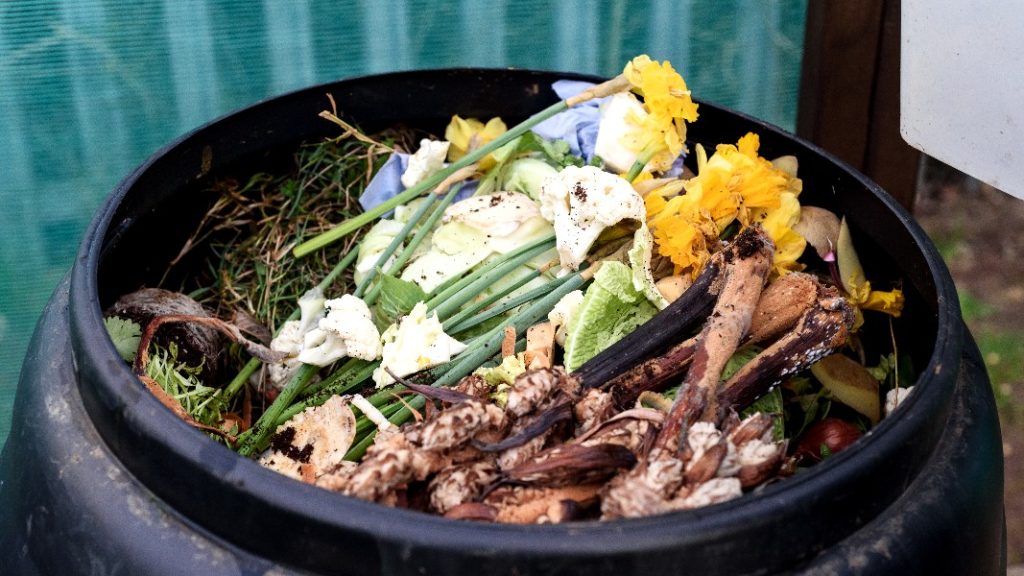 Recycling guidelines Archives - The City of Asheville