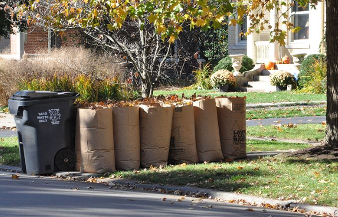 Leaves in paper bags awaiting collection