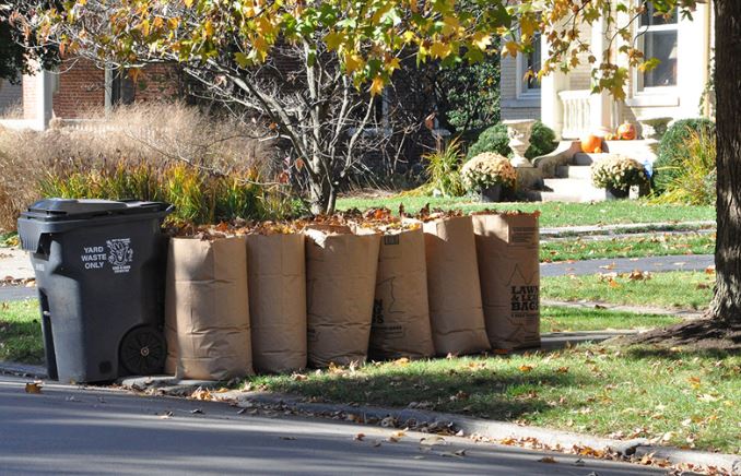 Place fall leaves in eco-friendly paper bags for collection by