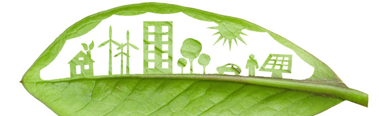 city inside of a leaf