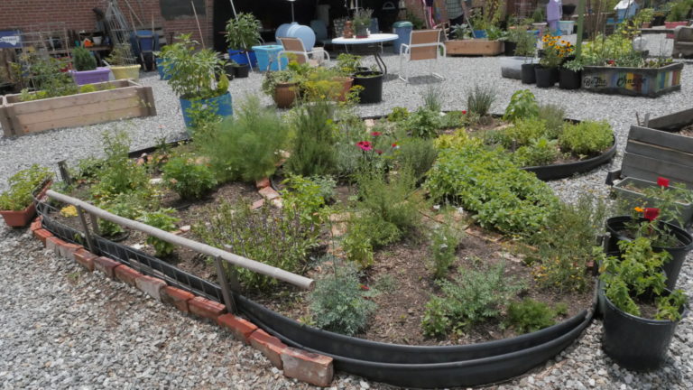 asheville community garden