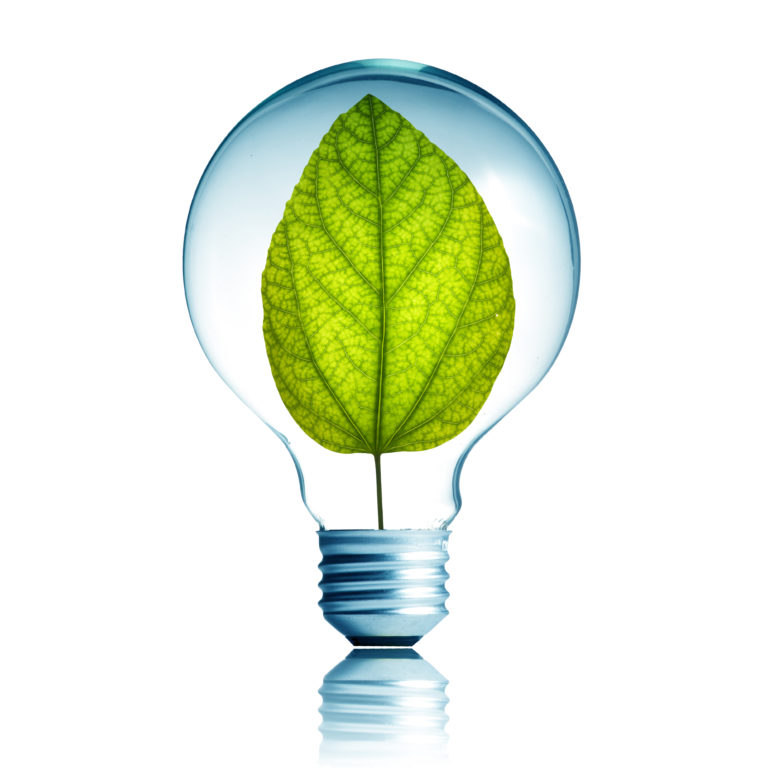 green energy concept of leaf inside a light bulb