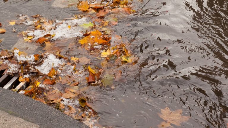 leaf clogged storm drain