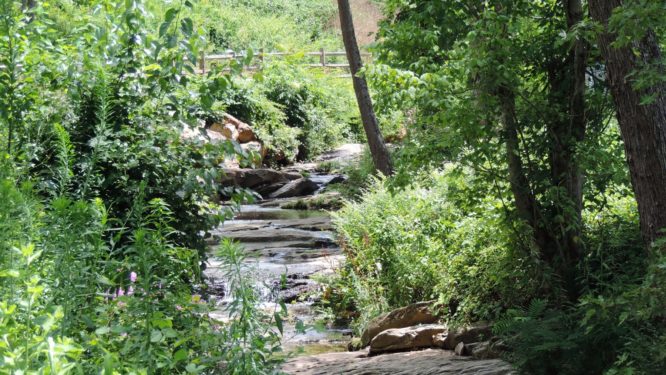 asheville greenway stream and trail