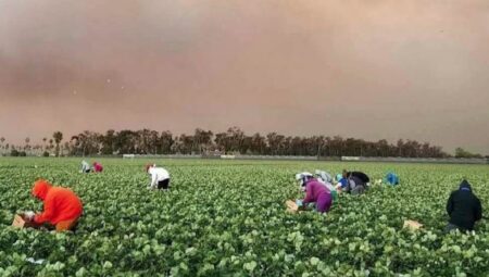 Farm workers