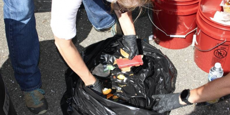 Asheville food waste audit image