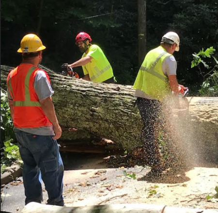 Cutting downed tree