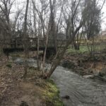 weaver park bridge over creek