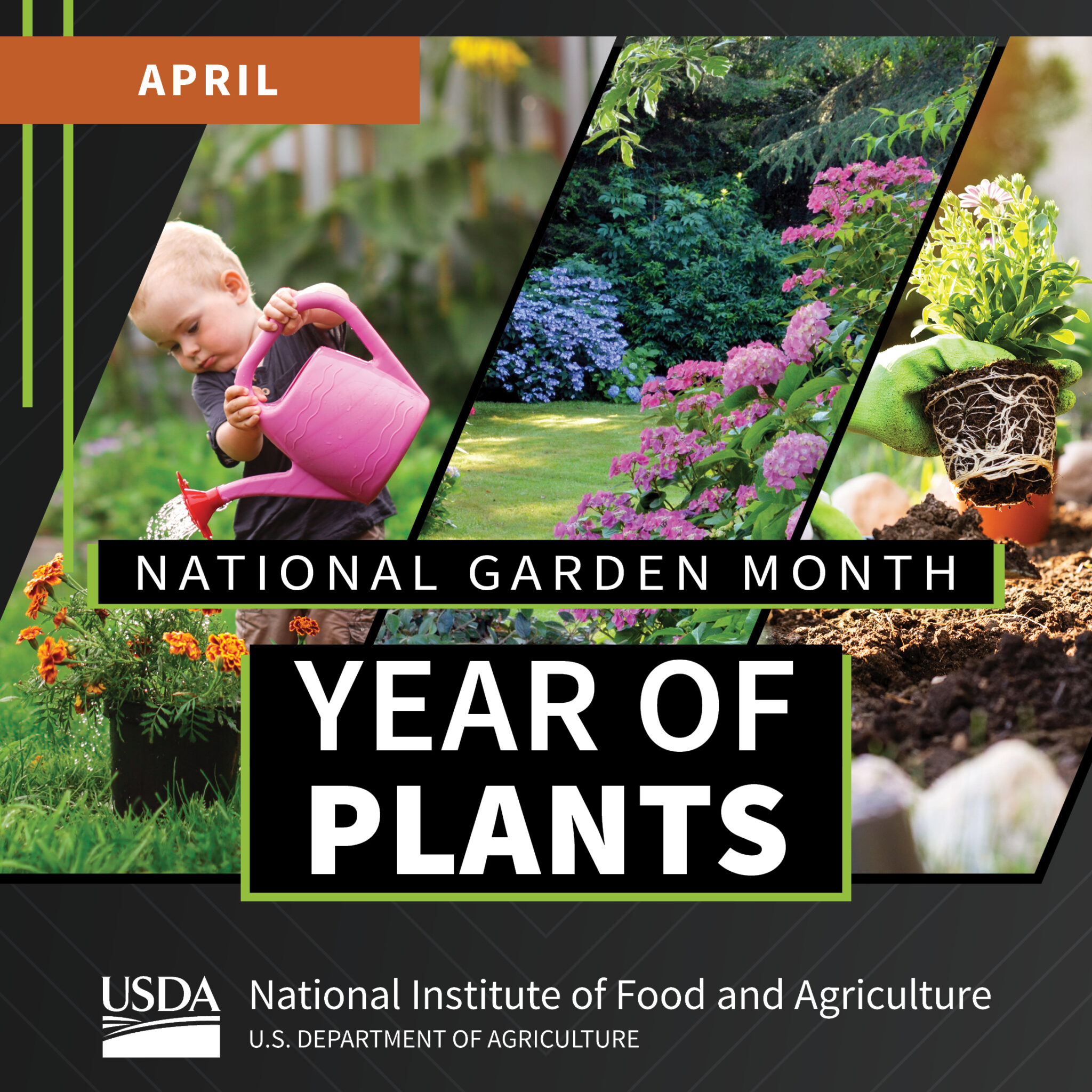 Wellness Wednesday Celebrate National Garden Month The City of