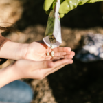 seeds held in hand