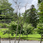 Also known as The Circle at Albemarle Park ...