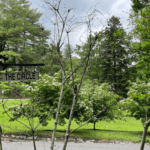 rolling lawn with street and street sign in foreground