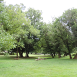 Located off of Amboy Road in West Asheville ...