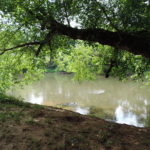 Located off of Amboy Road in West Asheville ...