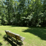bench at ann patton joyce park