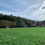turfed sports field