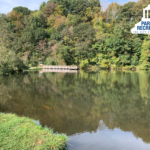 pond with dock