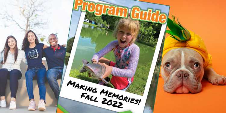 photo collage of young people sitting on a wall, young girl holding fish, dog in pumpkin costume