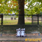 two stuffed raccoons under a tree at azalea park