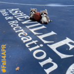 2 stuffed raccoons with a basketball on Kenilworth Park courts