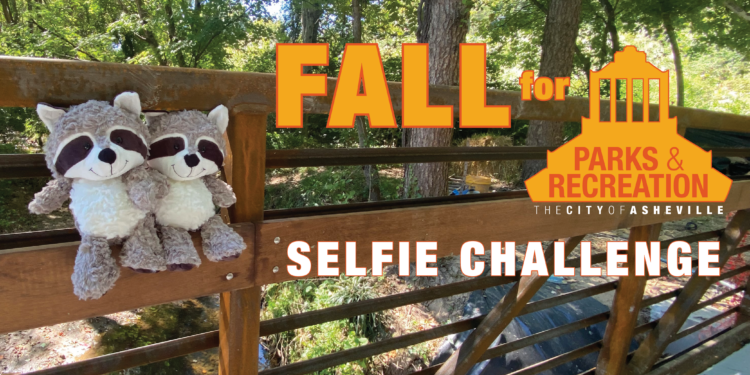 two stuffed animal raccoons on bridge railing