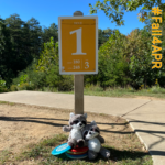 2 stuffed raccoons under Frisbee golf sign at Richmond Hill park