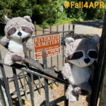 2 stuffed raccoons at riverside cemetary gates
