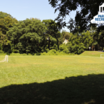 open lawn