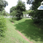 lawn and trail at Forest Park