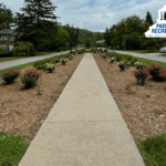 sidewalk lines with rose bushes
