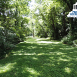 wooded lawn