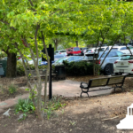 benches and brick sidewalk