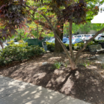 bench and sidewalk