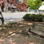 bench and street