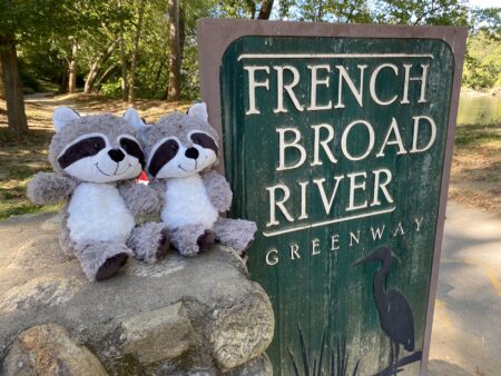 Stuffed raccoons sitting near the French Broad River Greenway sign