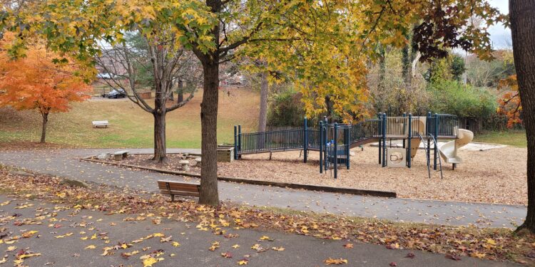murphy oakley park in the fall