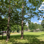 open lawn