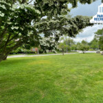 open lawn