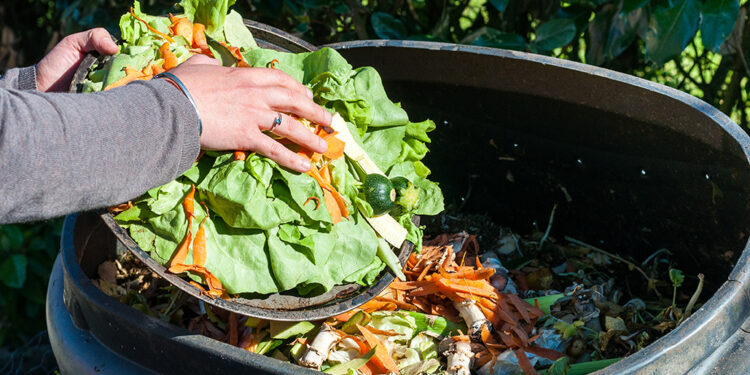 dropping food scraps in large container