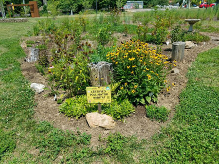 certified pollinator habitat