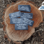 identification tags at carver edible forest