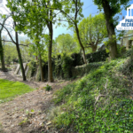 green bank at Hummingbird Park
