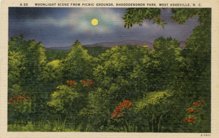 postcard image of rhododendron park