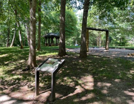 woodsy view of Haw Creek Park