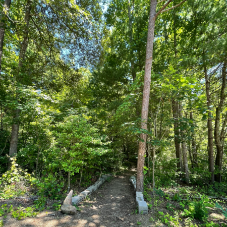 beginning of trail into woods at Masters Park