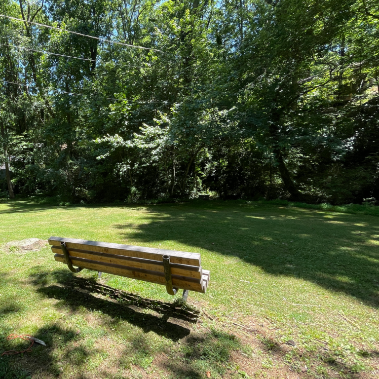 Park Views Augusta and Ann Patton Joyce Parks The City of