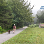 community member walking dog on greenway